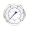 Pic Gauges 2 1/2 in Dial, 1/4 in NPT Male Center Back Location, Stainless Steel Case Material PRO-302D-254E-01 - alternate 1